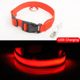 Led Dog Collar