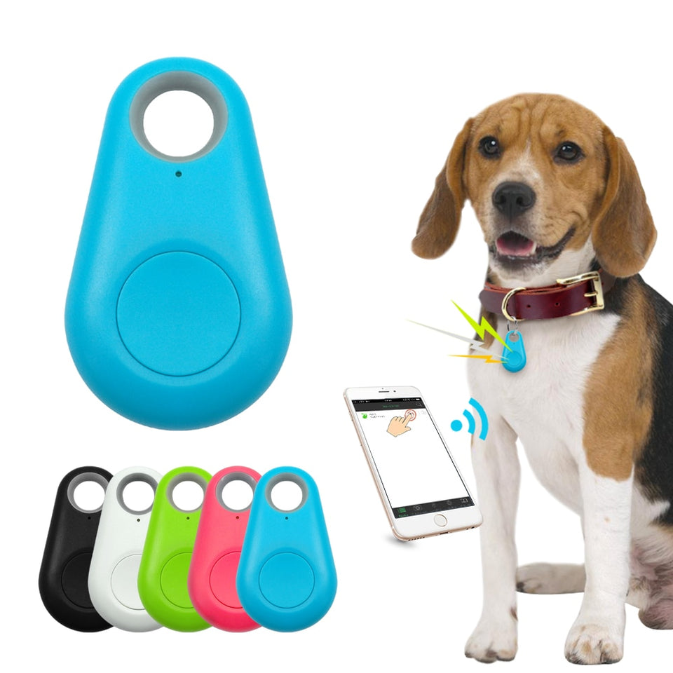 ¨Paw Tracker