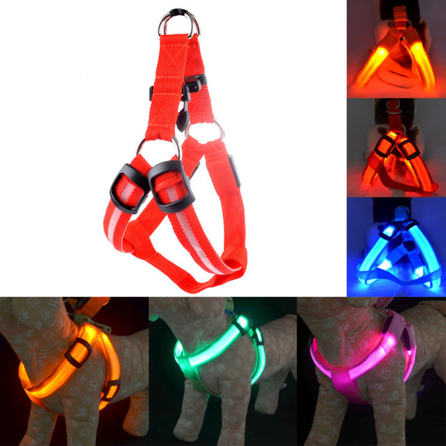 Harness Led Flashing