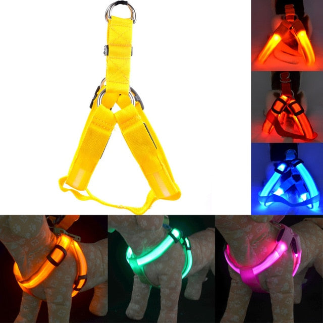 Harness Led Flashing