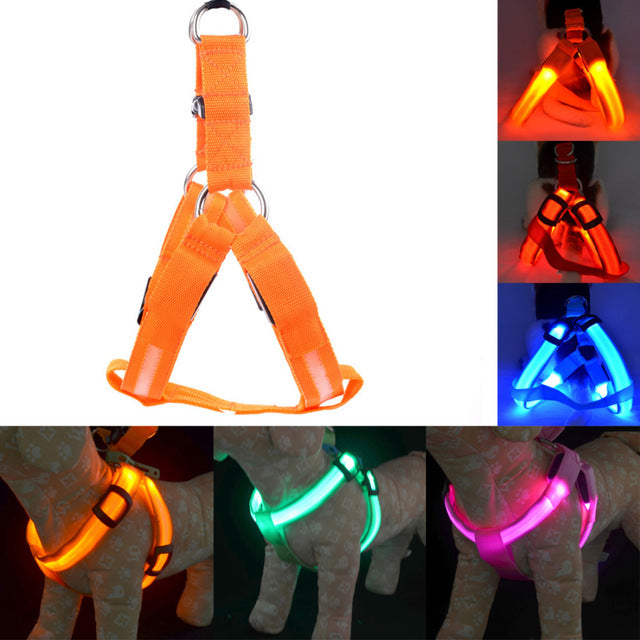 Harness Led Flashing