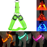 Harness Led Flashing