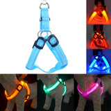 Harness Led Flashing