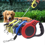 Dog Leash