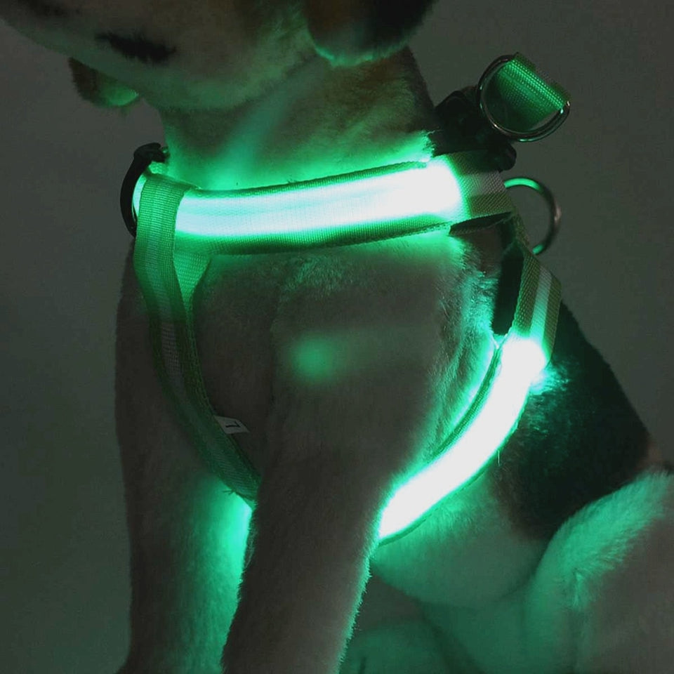 Harness Led Flashing