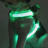 Harness Led Flashing