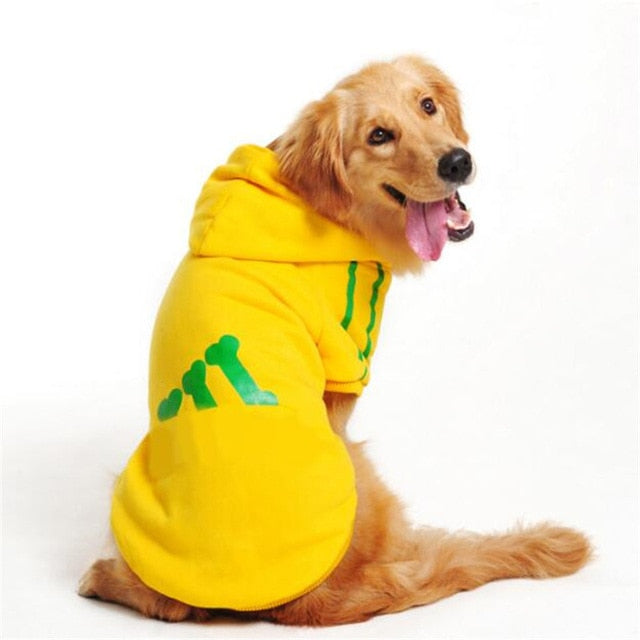 hoodies