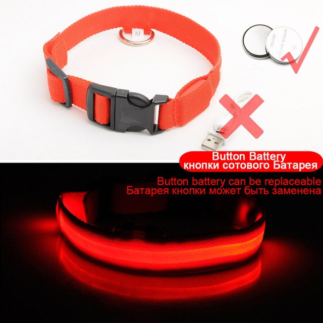 Led Dog Collar