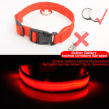 Led Dog Collar