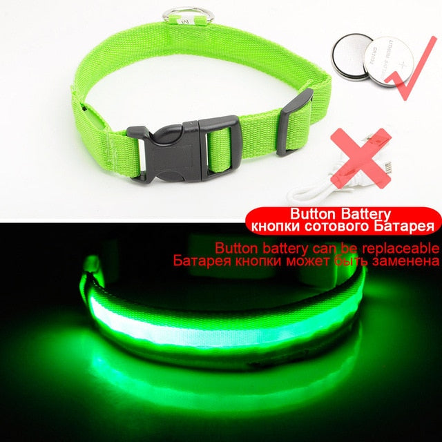 Led Dog Collar