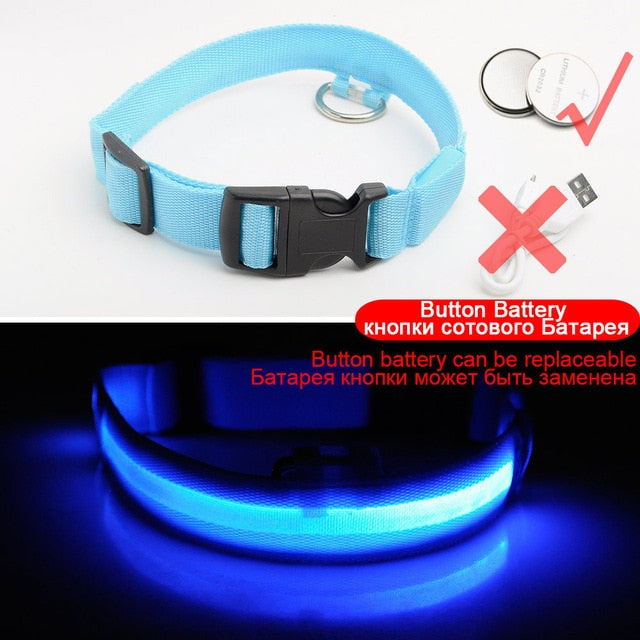Led Dog Collar