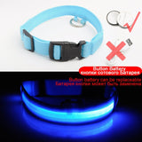 Led Dog Collar