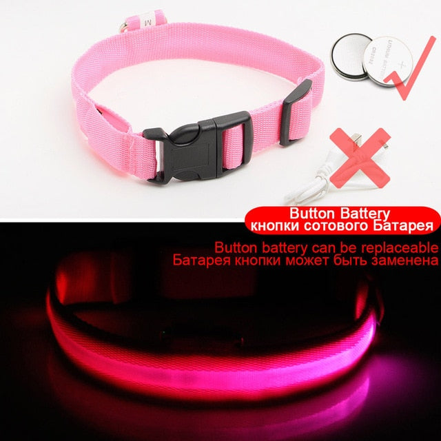Led Dog Collar