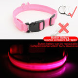 Led Dog Collar