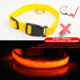 Led Dog Collar